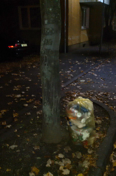 Gelber Sack vor einem Baum