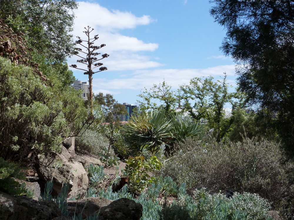 Royal Botanic Garden in Melbourne