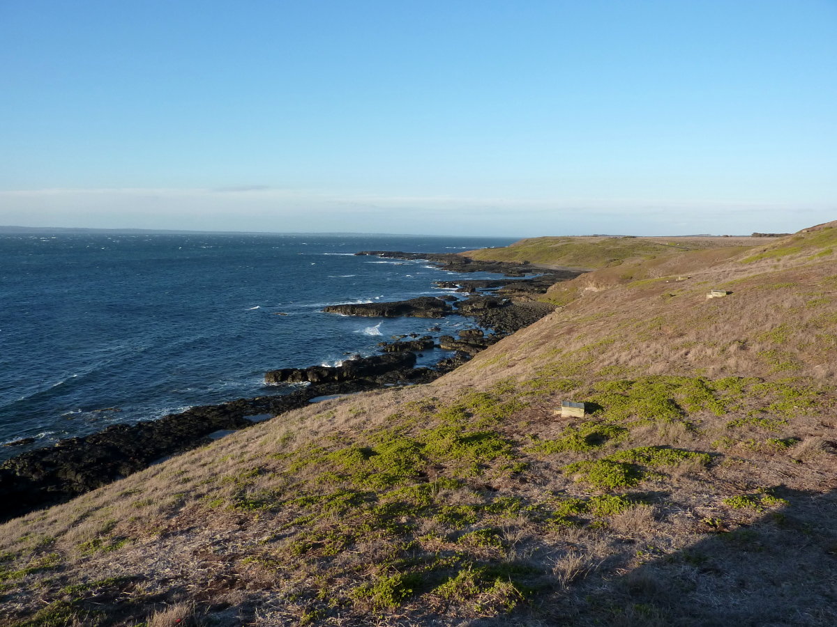 Felsgruppe »The Nobbies« auf Philip Island im australischen Bundesstaat Victoria