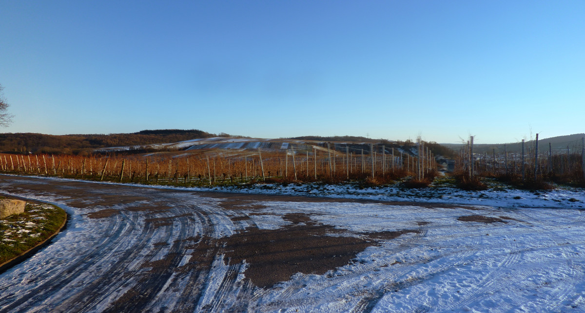 winterliche Weinberge