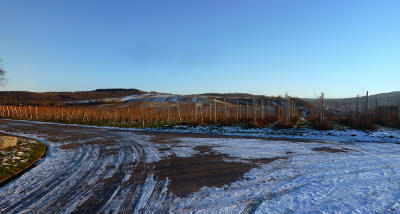 winterliche Weinberge