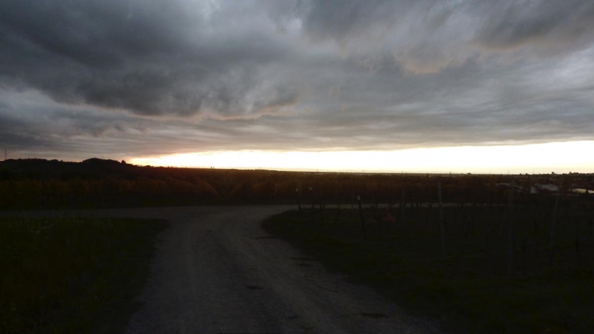 Blick über die abendliche Mittelrheinebene