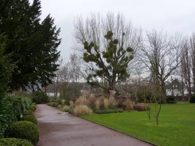 Ein absolutes Kleinod im Kasseler Vorderen Westen ist der Stadthallengarten. Unauffällig von Straßen eingegrenzt versteckt er sich hinter der Stadthalle und muss sich doch nicht verstecken.