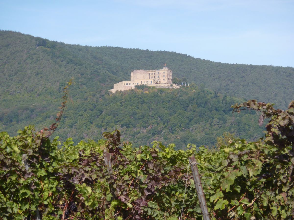 Das Etappenziel der Wanderung von Maikammer aus im Blick: das Hambacher Schloss.