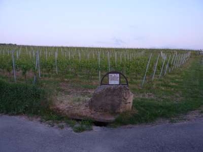 Natürlich wird auch hier dem Weingott gehuldigt.