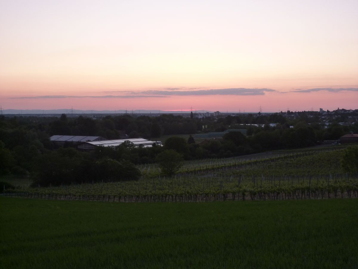 Lässt man den Blick zum Horizont schweifen, sieht die Kurpfalz plötzlich schon fast wie die Toskana aus.