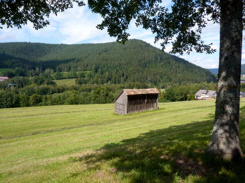 Feldhütte im Schwarzwald oberhalb von Klosterreichenbach
