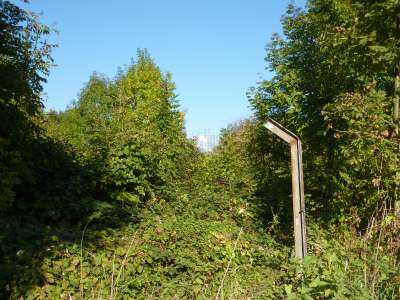 Aufmarschort der Leer„denker“-Demo: die Schwanewiese in Kassels Unterneustadt.