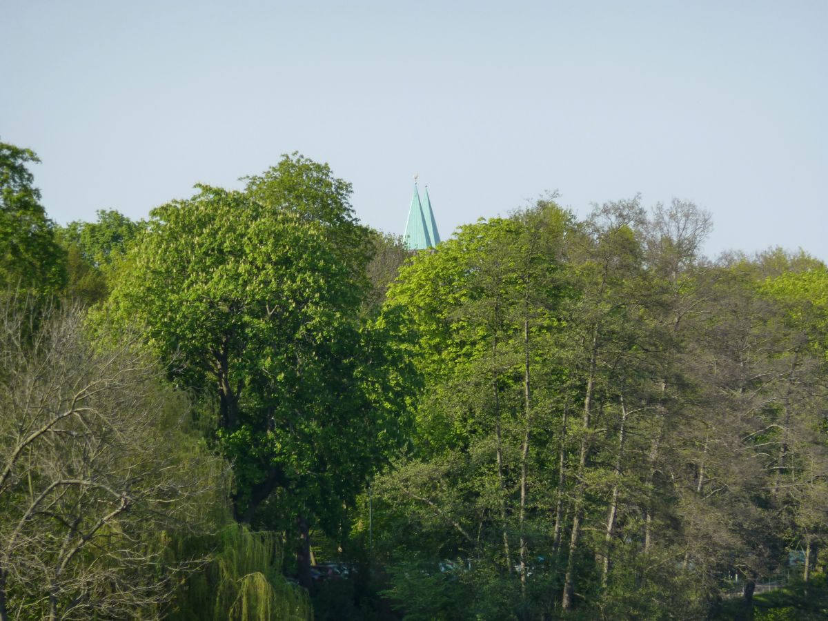 Die Schwanewiese gehört zu den Waldauer Wiesen – viel Grün und Feld mitten in der Stadt.