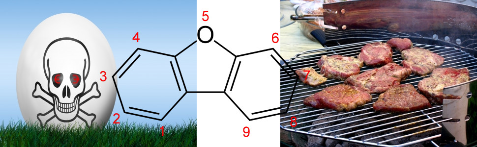 Dioxin-Ei und Gammelfleisch